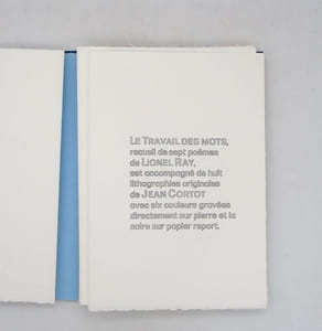 Le Travail des mots