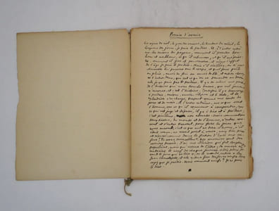 Pensées d'avenir : manuscrit autographe signé
