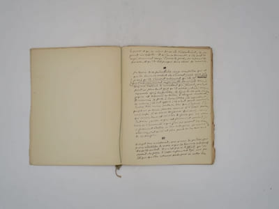 Pensées d'avenir : manuscrit autographe signé