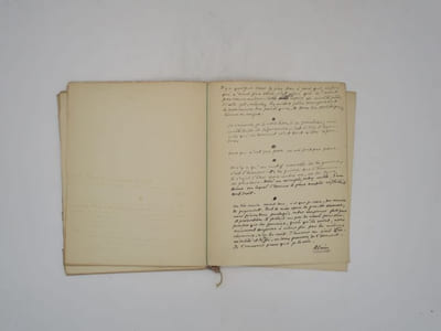 Pensées d'avenir : manuscrit autographe signé