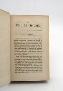 La Peau de chagrin