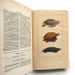 Oeuvres du comte de Lac&eacute;p&egrave;de comprenant l'Histoire naturelle des quadrup&egrave;des ovipares, des serpents, des poissons et des c&eacute;tac&eacute;s. LAC&Eacute;P&Egrave;DE (Bernard ...