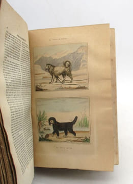 Oeuvres complètes de Buffon avec les Suppléments augmentées de la classification de Cuvier. BUFFON (Georges-Louis LECLERC DE)
