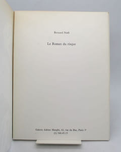 Le Roman du risque