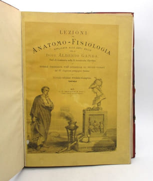 Lezioni di anatomo-fisiologia applicata alle arti belle : atlas seul. GAMBA (Alberto)