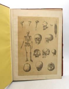 Lezioni di anatomo-fisiologia applicata alle arti belle : atlas seul