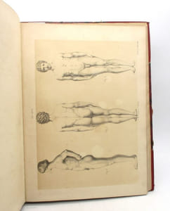 Lezioni di anatomo-fisiologia applicata alle arti belle : atlas seul