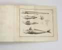 Histoire des poissons, contenant la description anatomique de leurs parties [...] & le caractère des divers genres [...]. / Historia piscium.. GOUAN ...