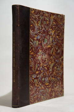 Histoire des faïences de Rouen pour servir de guide aux recherches des collectionneurs.. RIS-PAQUOT