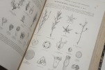 Traité général de botanique descriptive et analytique. Première partie : Abrégé d'organographie, d'anatomie et de physiologie ; 2e partie: ...