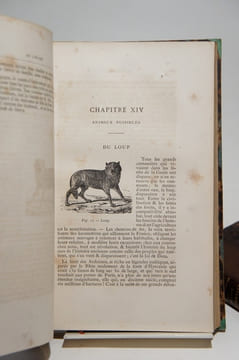 Nouveau traité des chasses à courre et à tir. LAGE DE CHAILLOU (Baron de), DE LA RUE (A.), CHERVILLE (Marquis de)