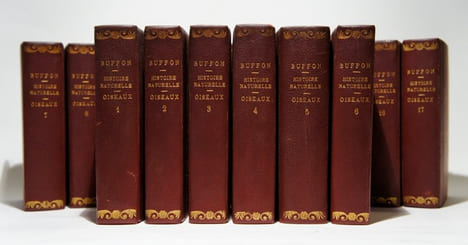 Histoire naturelle, 51 volumes. Buffon : Oiseaux (17 vol.) ; Quadrupèdes (14 vol.). Lacépède : Quadrupèdes, ovipares, serpents (4 vol.); Cétacés (2 ...