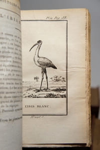 Histoire naturelle, 51 volumes. Buffon : Oiseaux (17 vol.) ; Quadrupèdes (14 vol.). Lacépède : Quadrupèdes, ovipares, serpents (4 vol.); Cétacés (2 vol.) ; Poissons (14 vol.).
