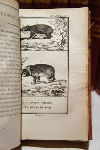 Histoire naturelle, 51 volumes. Buffon : Oiseaux (17 vol.) ; Quadrupèdes (14 vol.). Lacépède : Quadrupèdes, ovipares, serpents (4 vol.); Cétacés (2 vol.) ; Poissons (14 vol.).
