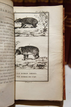 Histoire naturelle, 51 volumes. Buffon : Oiseaux (17 vol.) ; Quadrupèdes (14 vol.). Lacépède : Quadrupèdes, ovipares, serpents (4 vol.); Cétacés (2 ...