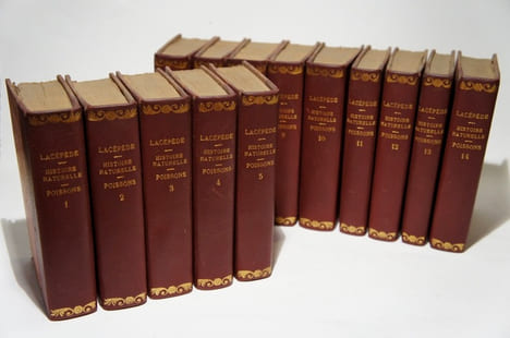 Histoire naturelle, 51 volumes. Buffon : Oiseaux (17 vol.) ; Quadrupèdes (14 vol.). Lacépède : Quadrupèdes, ovipares, serpents (4 vol.); Cétacés (2 ...