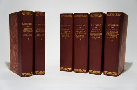 Histoire naturelle, 51 volumes. Buffon : Oiseaux (17 vol.) ; Quadrupèdes (14 vol.). Lacépède : Quadrupèdes, ovipares, serpents (4 vol.); Cétacés (2 ...