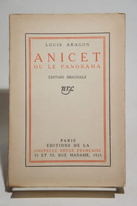 Anicet ou le panorama