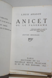 Anicet ou le panorama
