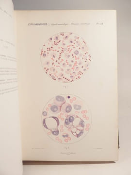 Traité de microscopie clinique (microscope). DEGUY, GUILLAUMIN