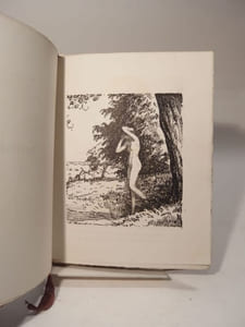 Echo et Narcisse. Daphné. Poèmes de Paul Feuillâtre. Ornés de 80 dessins et de 8 hors-texte par A. Roubille.