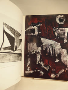 Marino Marini : l'oeuvre complet.