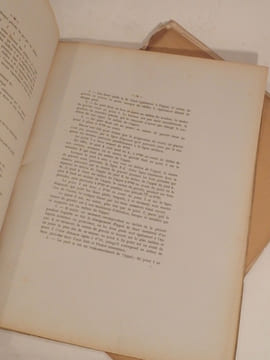 Etude sur la locomotion du cheval et des quadrupèdes en général, considérée dans ses rapports avec l'équitation et la représentation des quadrupèdes à ...