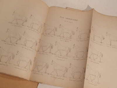 Etude sur la locomotion du cheval et des quadrupèdes en général, considérée dans ses rapports avec l'équitation et la représentation des quadrupèdes à toutes les allures et à toutes les variétés de ces allures. Texte et Atlas.
