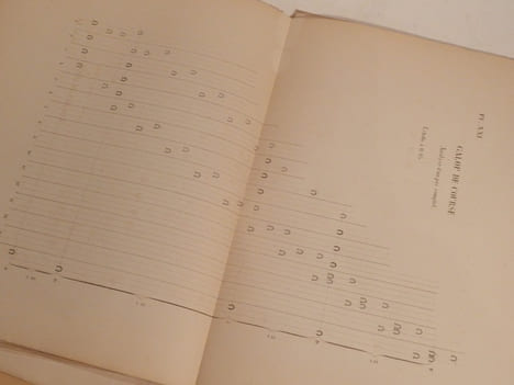 Etude sur la locomotion du cheval et des quadrupèdes en général, considérée dans ses rapports avec l'équitation et la représentation des quadrupèdes à ...