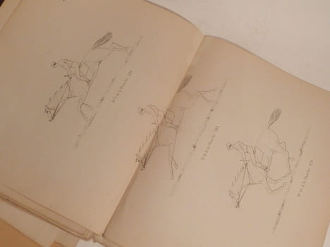 Etude sur la locomotion du cheval et des quadrupèdes en général, considérée dans ses rapports avec l'équitation et la représentation des quadrupèdes à ...
