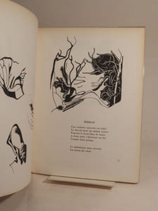 Doubles d'ombre. Poèmes et dessins de Paul Eluard et André Beaudin, 1913-1943.