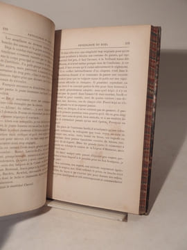 Physiologie du duel. D'ALMBERT (Alfred)