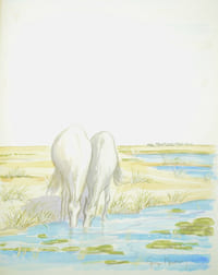 L'Arlésienne.