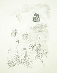 Les Nourritures terrestres.