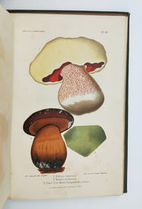 Les Champignons considérés dans leurs rapports avec la médecine, l’hygiène publique et privée, l’agriculture et l’industrie et Description des principales espèces comestibles, suspectes et vénéneuses de la France.
