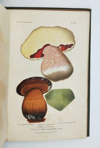 Les Champignons considérés dans leurs rapports avec la médecine, l’hygiène publique et privée, l’agriculture et l’industrie et Description des principales espèces comestibles, suspectes et vénéneuses de la France.