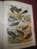 Praktisches Handbuch für Jäger. Ein zuverlässiges Nachschlagebuch für das gesamte Weidwerk.

 (Manuel pratique pour les chasseurs. Un livre de ...