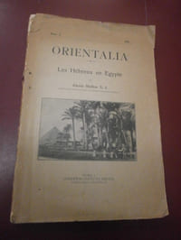 Les Hébreux en Egypte 
