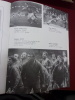 Livre d'Or du S.U. Agenais 1900-1980 - L'histoire du rugby Agenais.
. Collectif
