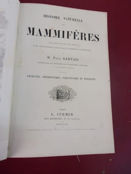 Les trois règnes de la Nature.
Règne Animal. Histoire naturelle des Mammifères. Primates, Cheiroptères, Insectivores et Rongeurs.
Avec ...