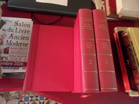 Lettres à Madame Hanska. Honoré de Balzac