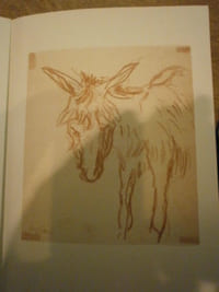 Seyssaud,
Dessins.