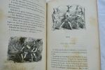 FATH, Georges. UN DROLE DE VOYAGE. J. HETZEL ET Cie, Bibliothèque d'Éducation et de Récréation - Sans date (vers 1880). Grand in-8° 292 pages. Texte ...