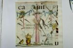 Parchemin contre-collé sur papier vélin (nous vous laissons le soin de le décoller).. Enluminure 140 x 145 mm.