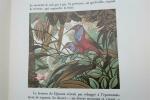 Bêtes de la brousse. Illustrations d'André Collot gravées sur bois + aquarelle. René Maran