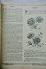 TRAITE DES TRAVAUX DU JARDINAGE - GUIDE CLAUSE - 8EME EDITION L. CLAUSE. NON DATE. In-4°, reliure cartonnée (abimée), intérieur assez bien conservé. ...