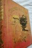 Desbeaux, Émile L'aventure De Paul Solange Paul Ducrocq, Paris 1888 - Un volume in-quarto carré, (6), 295 pages, rousseurs éparses; illustré de 100 ...