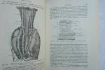 Rudaux, P. Précis elementaire d'anatomie de Physiologie de Pathologie et de Thérapeutique appliquée suivi d'un Lexique medical. Paris, Masson, 1947. ...