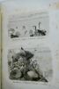 ULLIAC TREMADEURE Les jeunes naturalistes, ou entretiens sur l'histoire naturelle - Didier, Paris 1841, in-12 (11x17,5cm), belle reliure plein cuir, ...