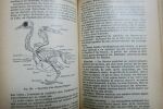 Caustier HISTOIRE NATURELLE 1906 29,00 ? Caustier E HISTOIRE NATURELLE (anatomie, physiologie, paléontologie) Paris, Vuibert, 1906, reliure percaline ...